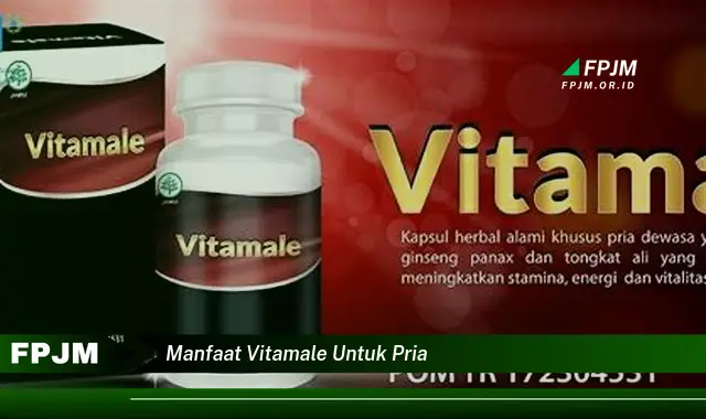 manfaat vitamale untuk pria
