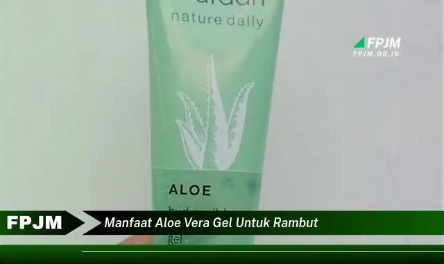 manfaat aloe vera gel untuk rambut manfaat aloe vera gel untuk rambut