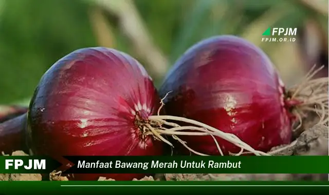 manfaat bawang merah untuk rambut manfaat bawang merah untuk rambut