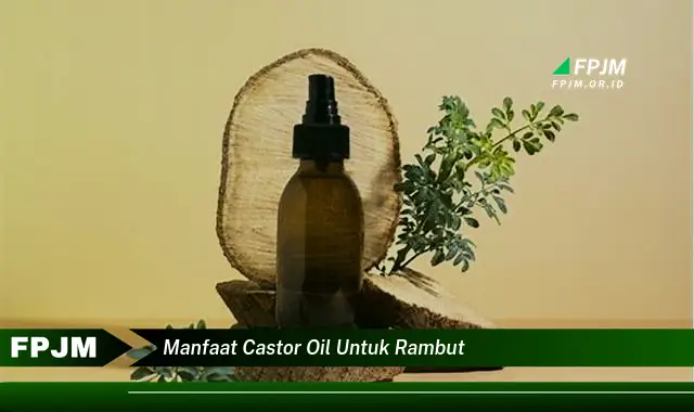 manfaat castor oil untuk rambut