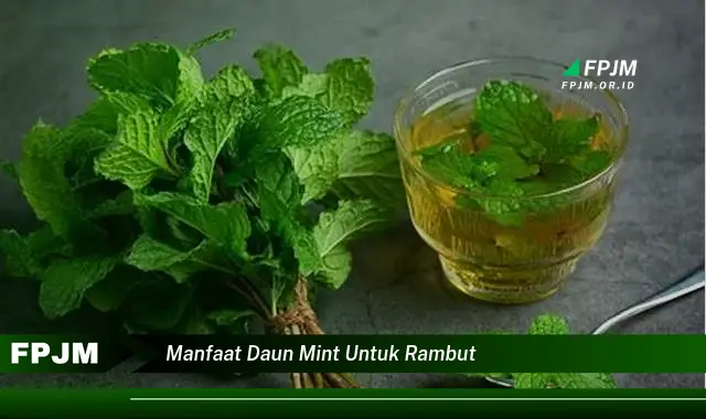 manfaat daun mint untuk rambut