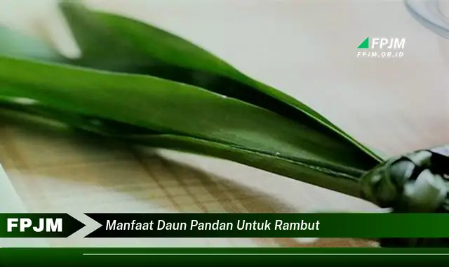 manfaat daun pandan untuk rambut manfaat daun pandan untuk rambut