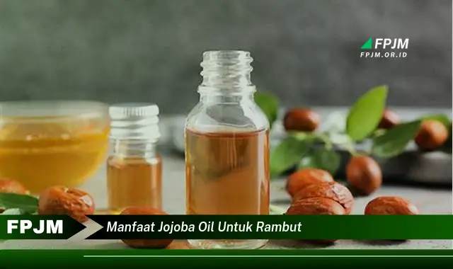 manfaat jojoba oil untuk rambut manfaat jojoba oil untuk rambut