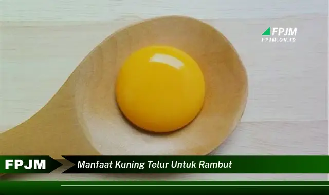 manfaat kuning telur untuk rambut