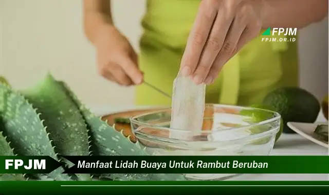 manfaat lidah buaya untuk rambut beruban