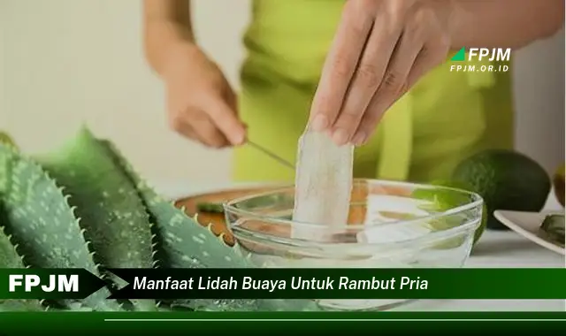 manfaat lidah buaya untuk rambut pria