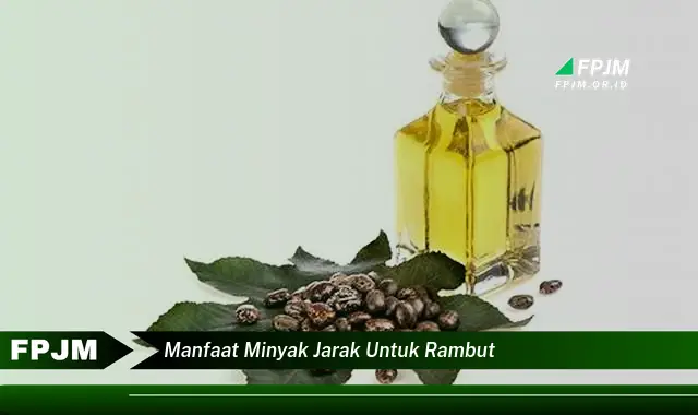 manfaat minyak jarak untuk rambut manfaat minyak jarak untuk rambut