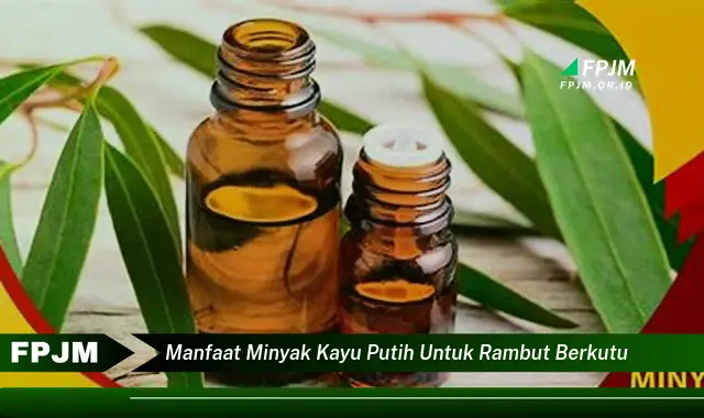 manfaat minyak kayu putih untuk rambut berkutu