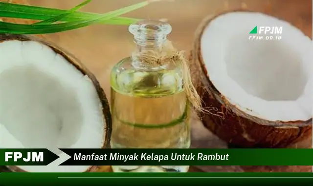 manfaat minyak kelapa untuk rambut manfaat minyak kelapa untuk rambut