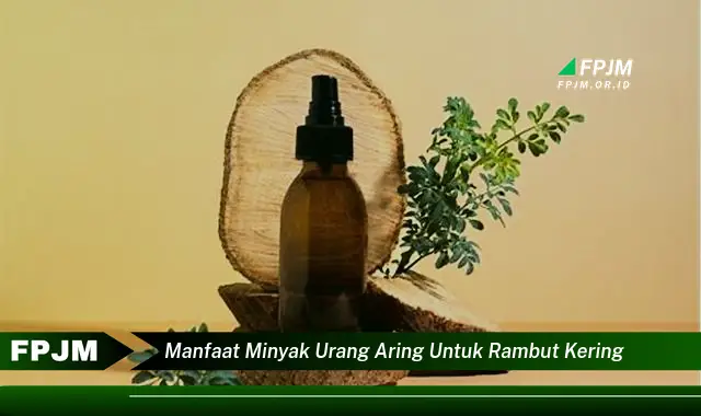 manfaat minyak urang aring untuk rambut kering manfaat minyak urang aring untuk rambut kering
