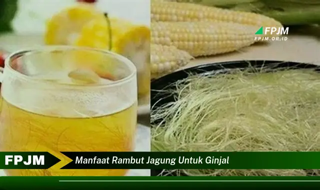 manfaat rambut jagung untuk ginjal manfaat rambut jagung untuk ginjal