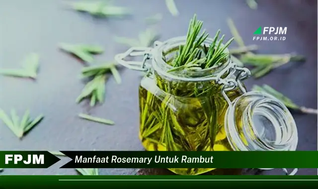 manfaat rosemary untuk rambut