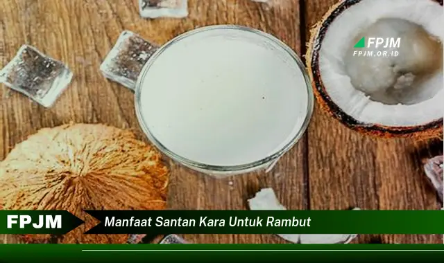 manfaat santan kara untuk rambut