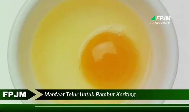 manfaat telur untuk rambut keriting manfaat telur untuk rambut keriting
