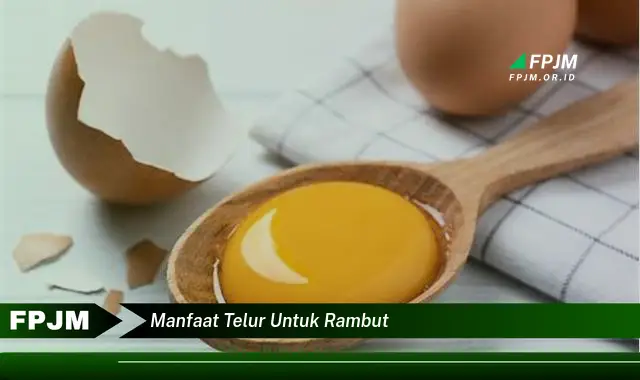manfaat telur untuk rambut