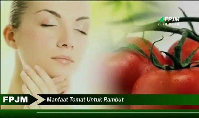 manfaat tomat untuk rambut manfaat tomat untuk rambut