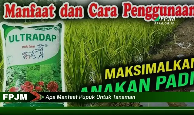 apa manfaat pupuk untuk tanaman