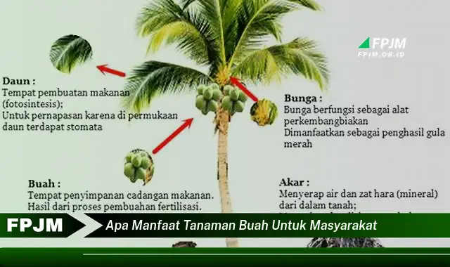 apa manfaat tanaman buah untuk masyarakat