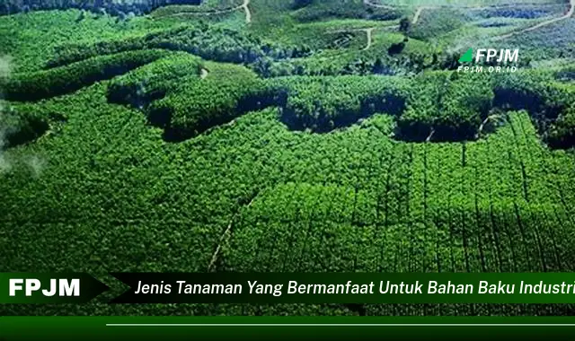 jenis tanaman yang bermanfaat untuk bahan baku industri adalah