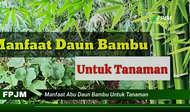 manfaat abu daun bambu untuk tanaman