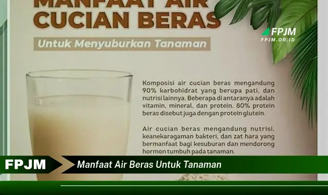 manfaat air beras untuk tanaman