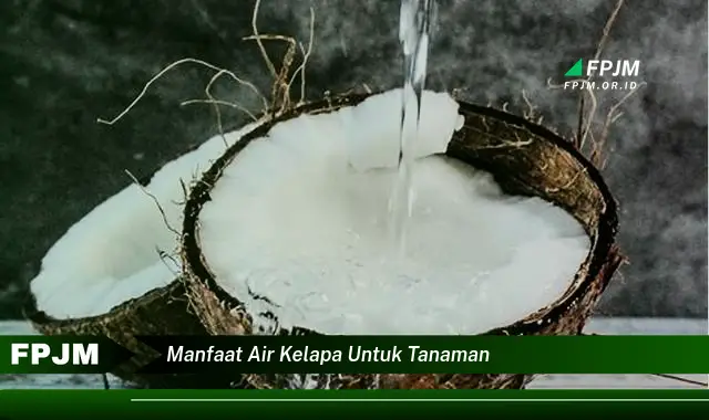 manfaat air kelapa untuk tanaman