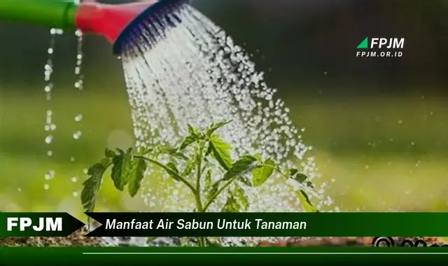 manfaat air sabun untuk tanaman