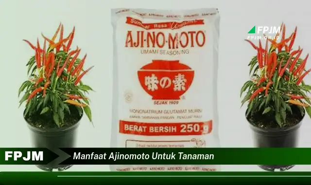 manfaat ajinomoto untuk tanaman