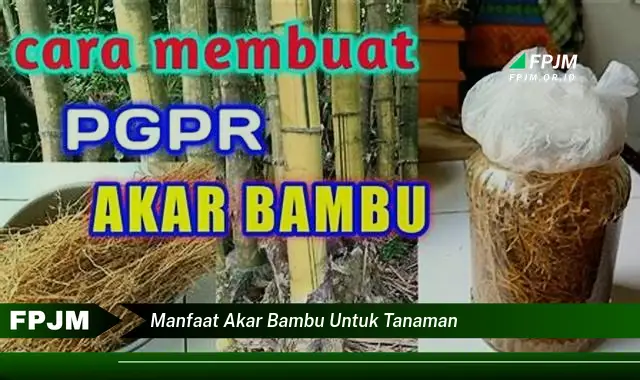 manfaat akar bambu untuk tanaman