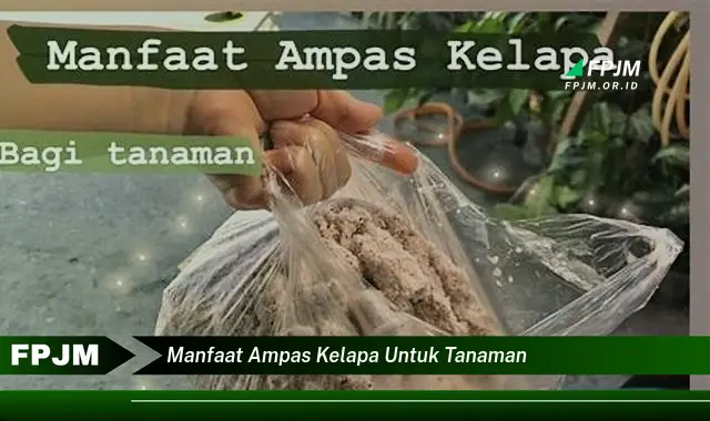 manfaat ampas kelapa untuk tanaman