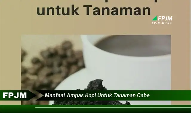 manfaat ampas kopi untuk tanaman cabe