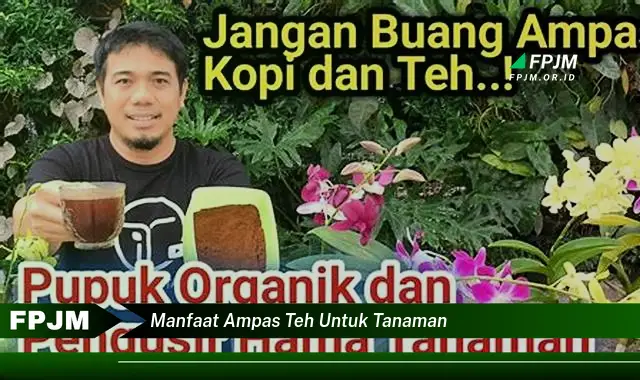 manfaat ampas teh untuk tanaman