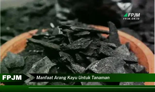 manfaat arang kayu untuk tanaman