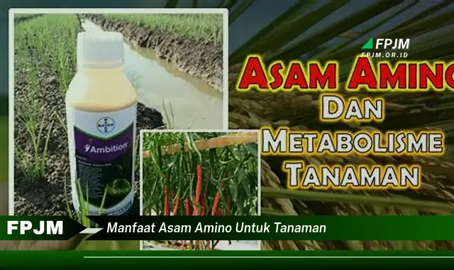 manfaat asam amino untuk tanaman