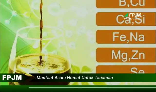 manfaat asam humat untuk tanaman