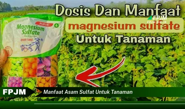 manfaat asam sulfat untuk tanaman