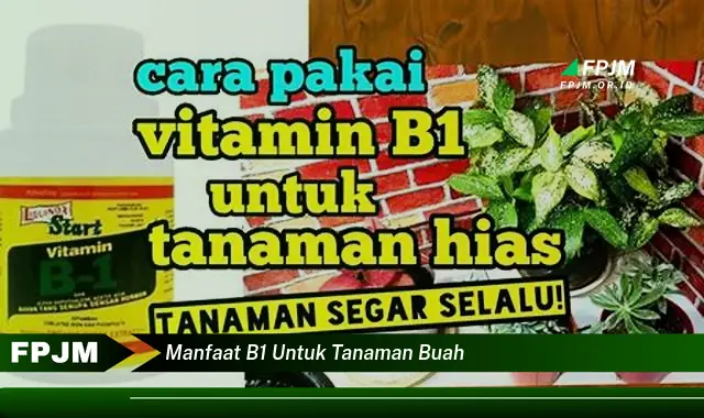 manfaat b1 untuk tanaman buah