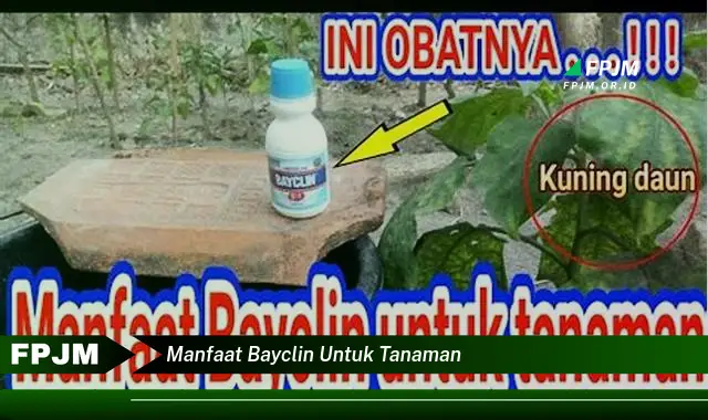 manfaat bayclin untuk tanaman