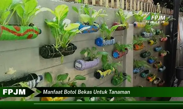 manfaat botol bekas untuk tanaman