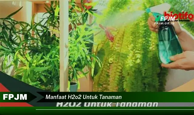 manfaat h2o2 untuk tanaman