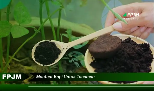 manfaat kopi untuk tanaman