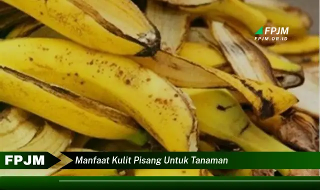 manfaat kulit pisang untuk tanaman