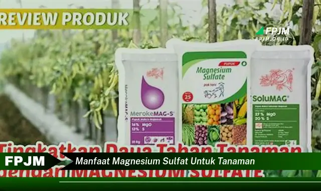 manfaat magnesium sulfat untuk tanaman