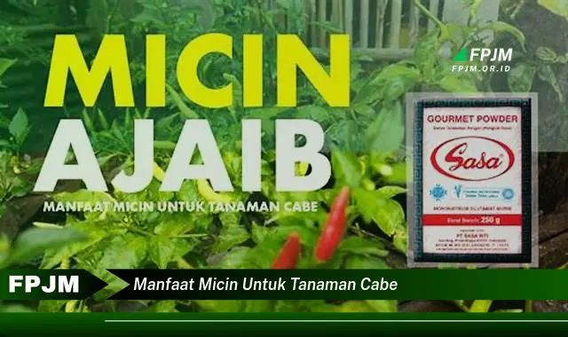 manfaat micin untuk tanaman cabe