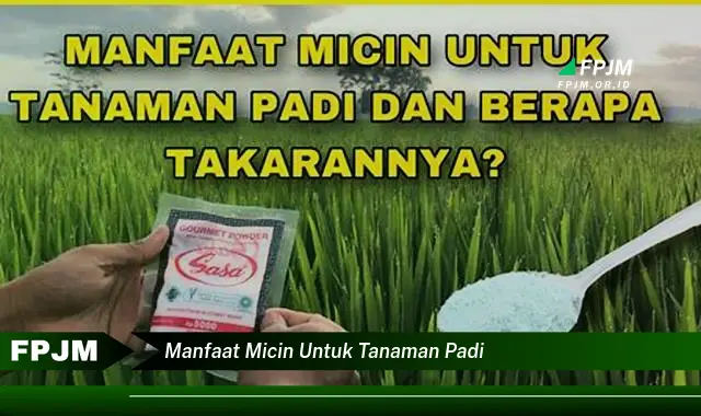 manfaat micin untuk tanaman padi