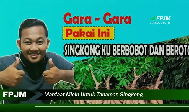 manfaat micin untuk tanaman singkong