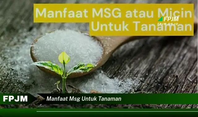 manfaat msg untuk tanaman