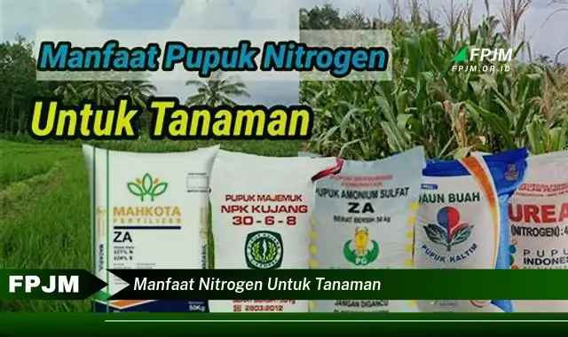 manfaat nitrogen untuk tanaman