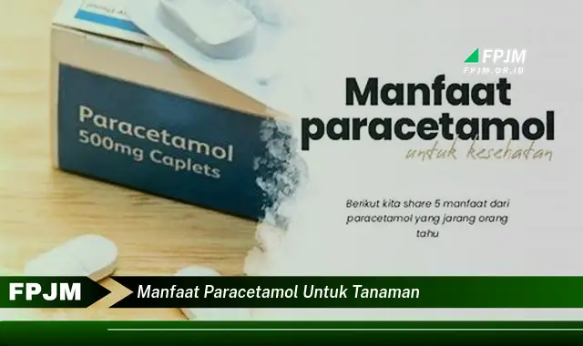 manfaat paracetamol untuk tanaman