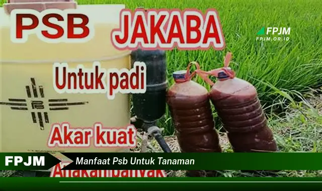 manfaat psb untuk tanaman